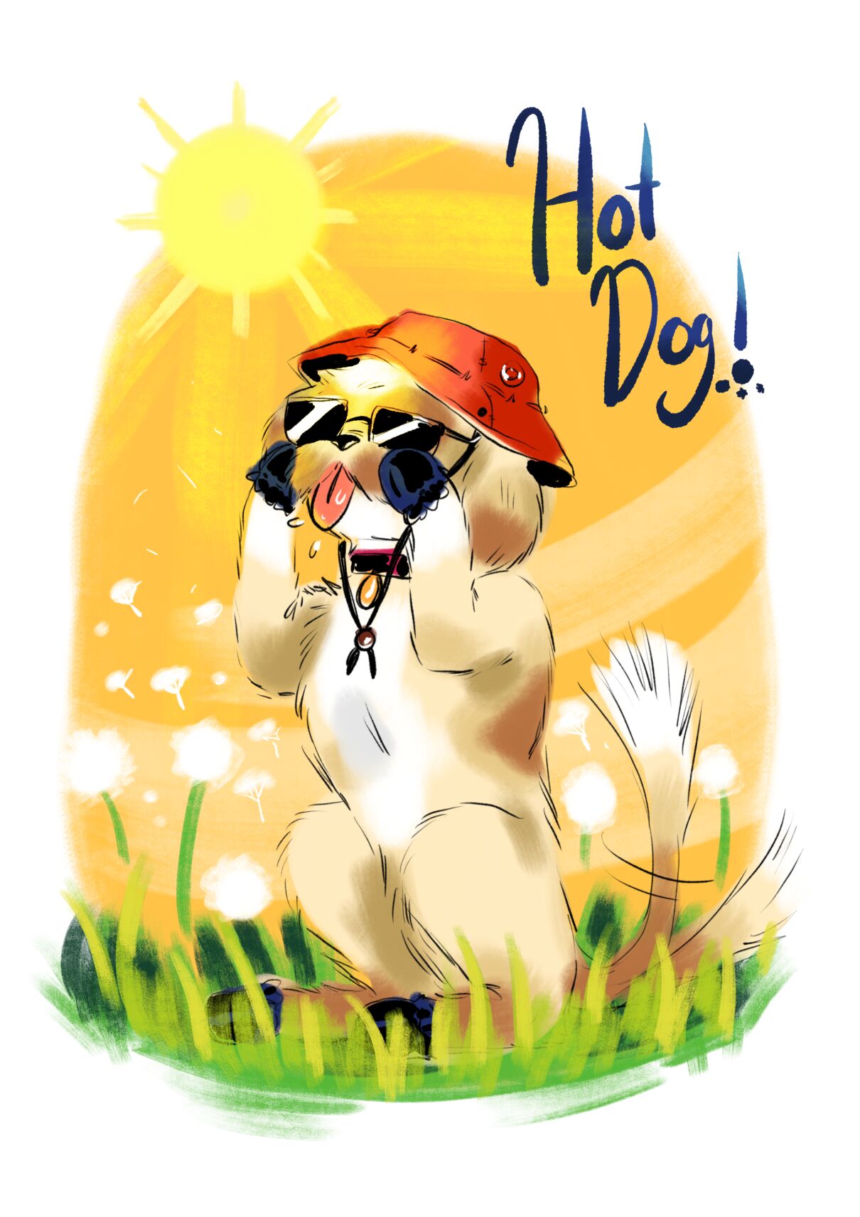 Tips for protecting your pets from the summer heat